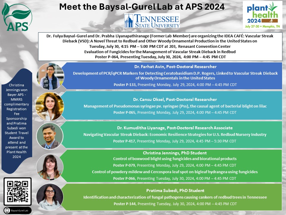 Baysal-Gurel Lab (@baysalgurellab) on Twitter photo #PlantHealth2024 is just around the corner. We are excited to share our research findings at Memphis. Make sure to stop by our posters and attend the idea cafe. Join us at <a href="/plantdisease/">The American Phytopathological Society</a> conference. #PlantHealth2024 is just around the corner. We are excited to share our research findings at Memphis. Make sure to stop by our posters and attend the idea cafe. Join us at <a href="/plantdisease/">The American Phytopathological Society</a> conference.