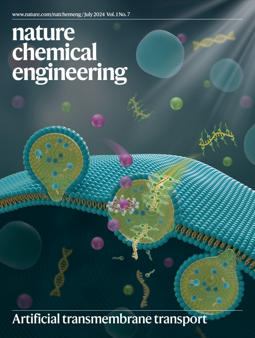 Our July Issue is now live!

Transport across artificial cell membranes, MOF membranes with defects for liquid-phase separations, intensified flow photoreactor design, 3D polyhedral frames for liquid processing, and more!

Read the full issue here: nature.com/natchemeng/vol…