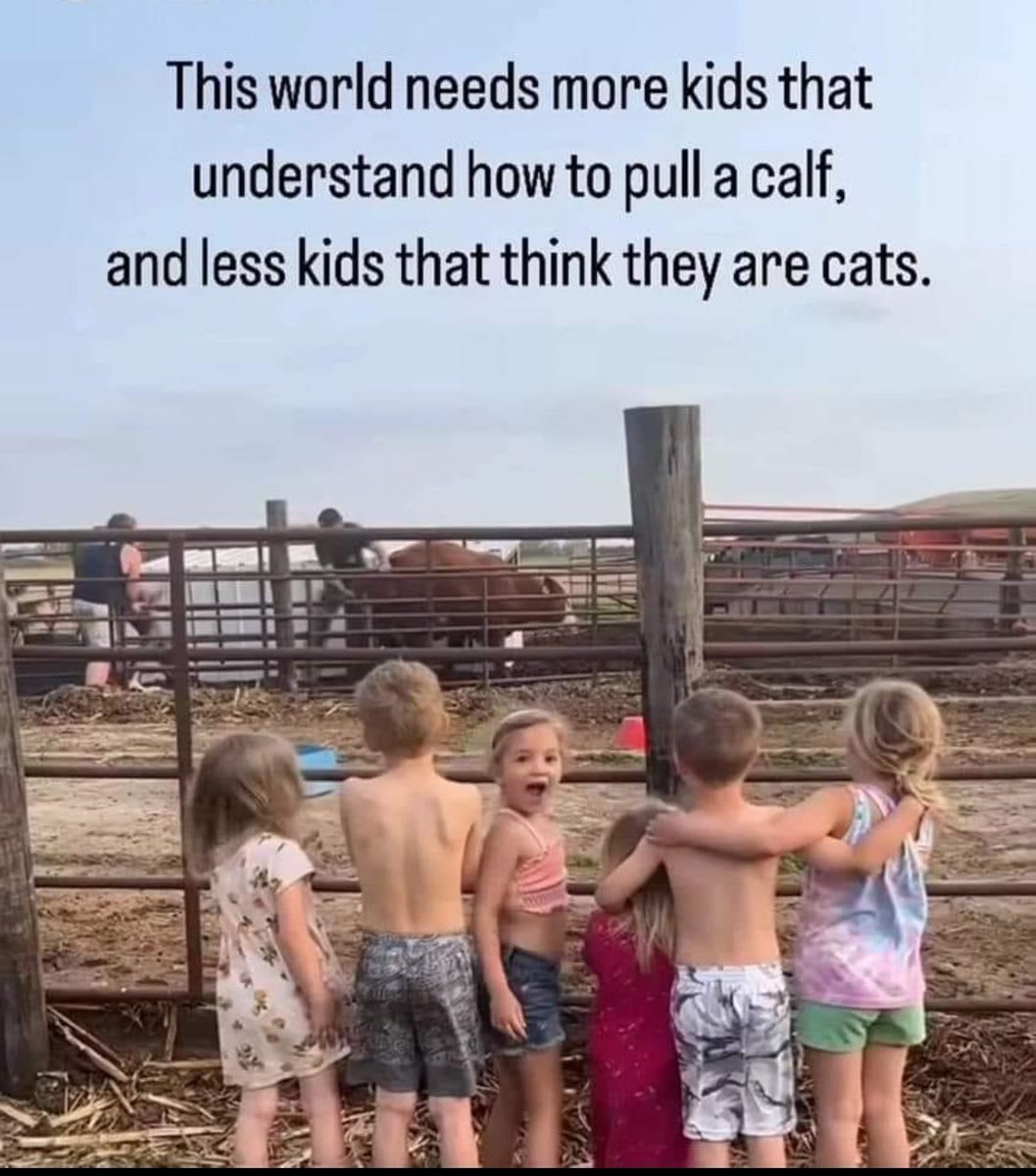 tags_data's tweet image. Keep the #kids on the #farm #safe and teach them #respect and a strong #work habit!
#cattle #feedlot #ifb #follow