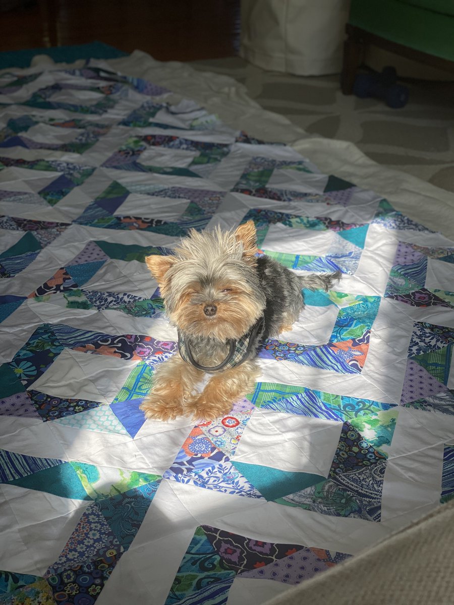 Ryan A Boyles tweet media