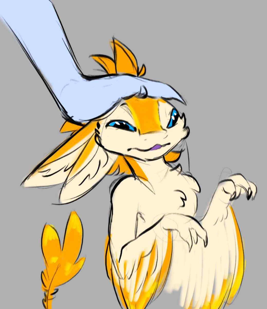 Masdunae_Arts's tweet photo. Scrunch the @Dynvali https://t.co/sVqNTXWDmA