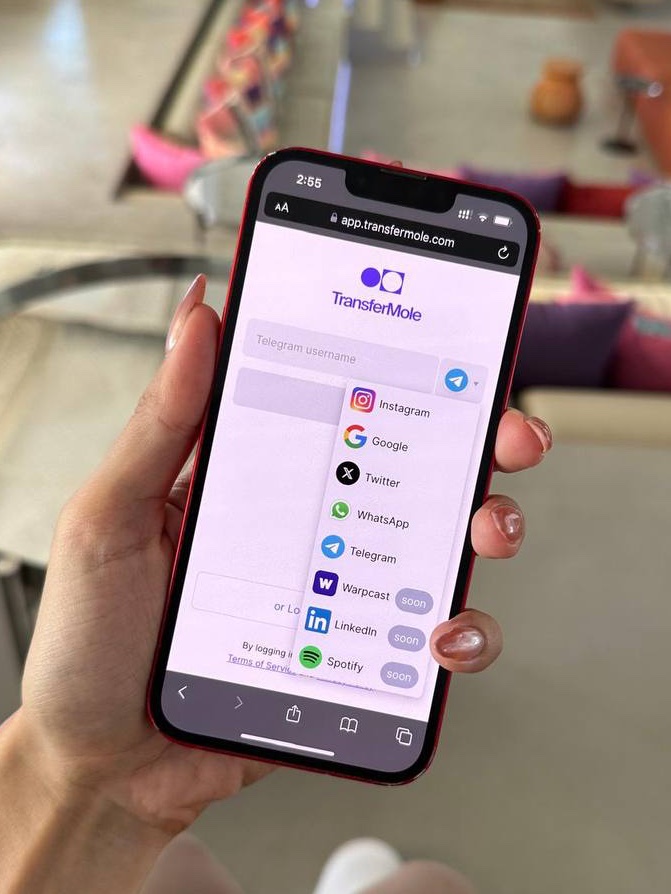 HandlPay's tweet image. You guessed correct! The next social media platform that we have enabled users to send crypto and card payments to/from is TELEGRAM! 🎉

Sign up and use your Telegram username as a payment alias now ➡️ t.me/transfermolebot #TransferMole