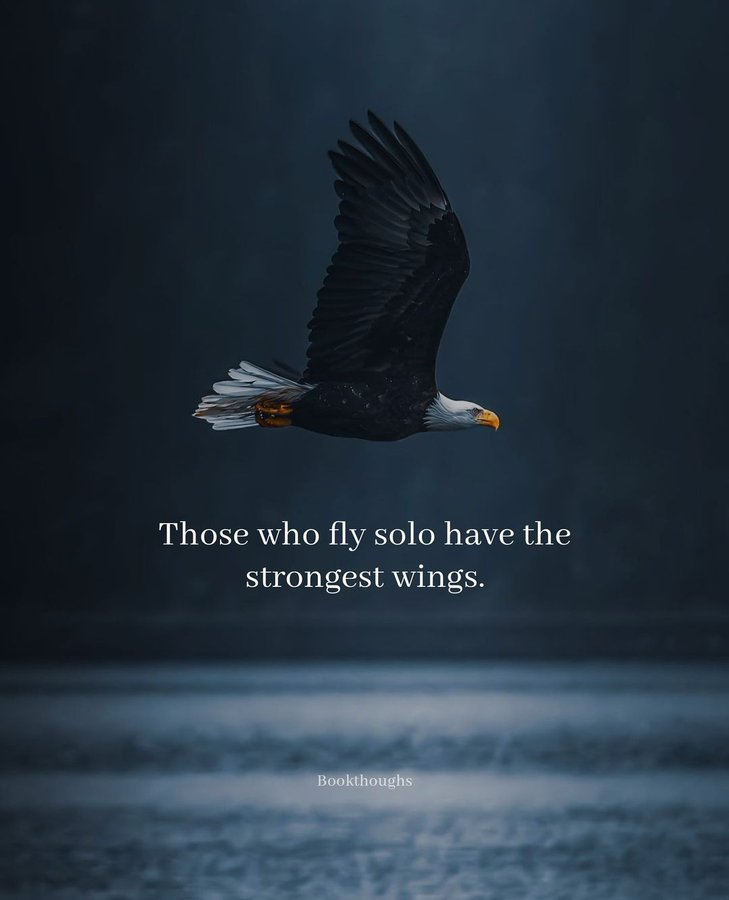 Mindful Maven (@mindfulmaven_) on Twitter photo 