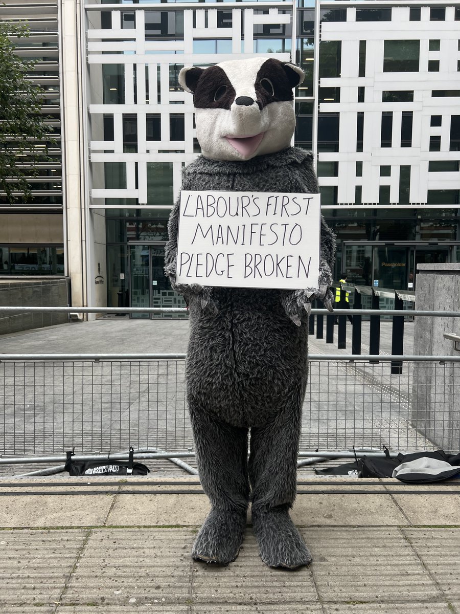 ProtectTheWild_'s tweet photo. The message outside @DefraGovUK today was loud and clear - @UKLabour's FIRST MANIFESTO PLEDGE BROKEN.

Betty Badger, who we met today, has been stood outside the DEFRA offices every week for 7 years!! https://t.co/6ir469ycfy