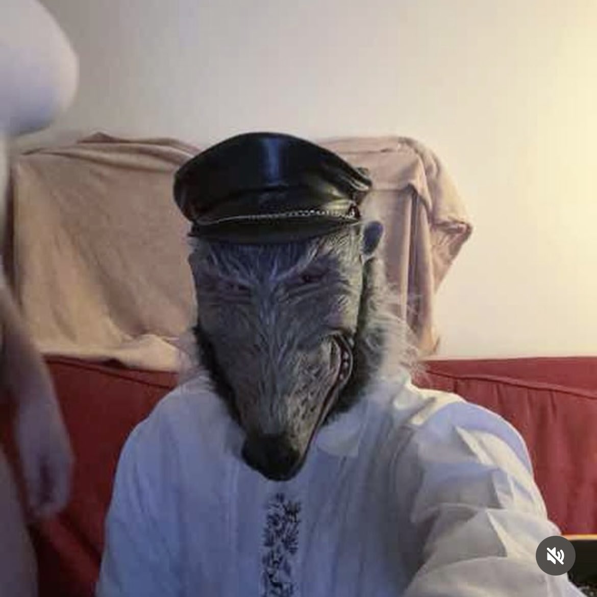 Stalkerplugg (@stalkerplugg) on Twitter photo 