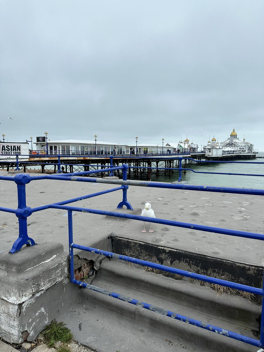 billie ray martin tweet media