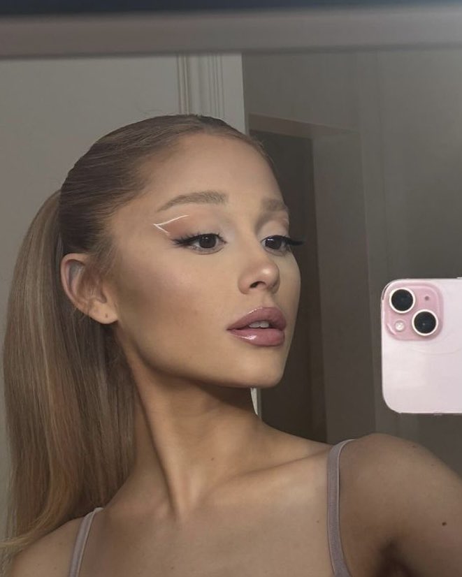 Snowhitcs's tweet image. chinchilla persian🐱