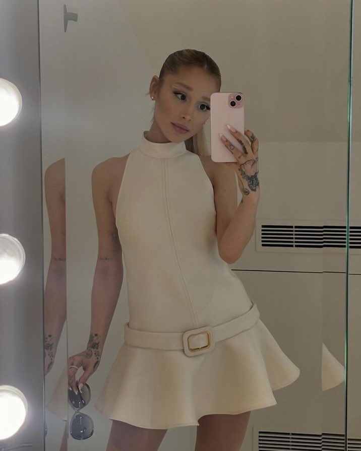 Snowhitcs's tweet image. chinchilla persian🐱