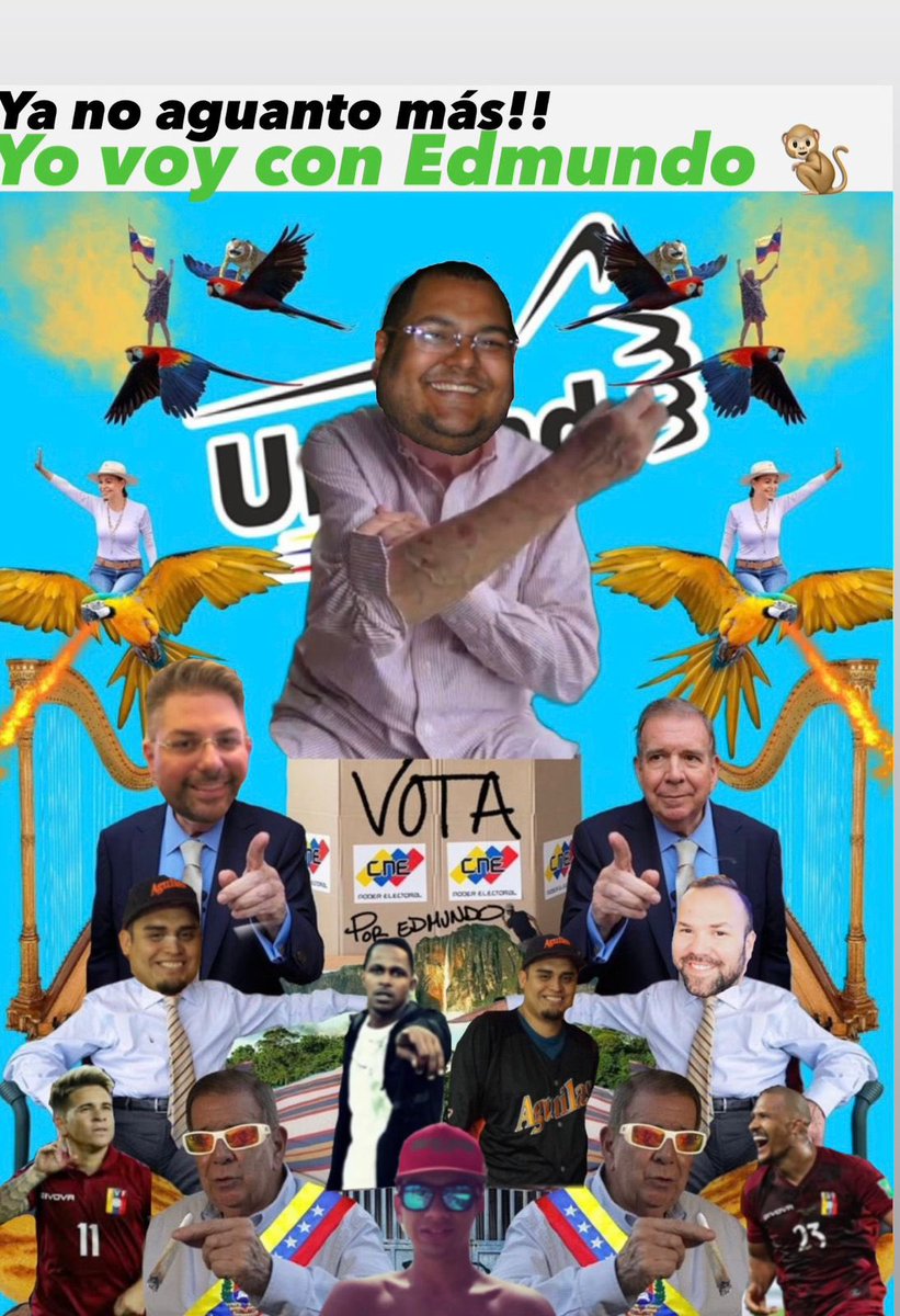 El domingo todos a votar
