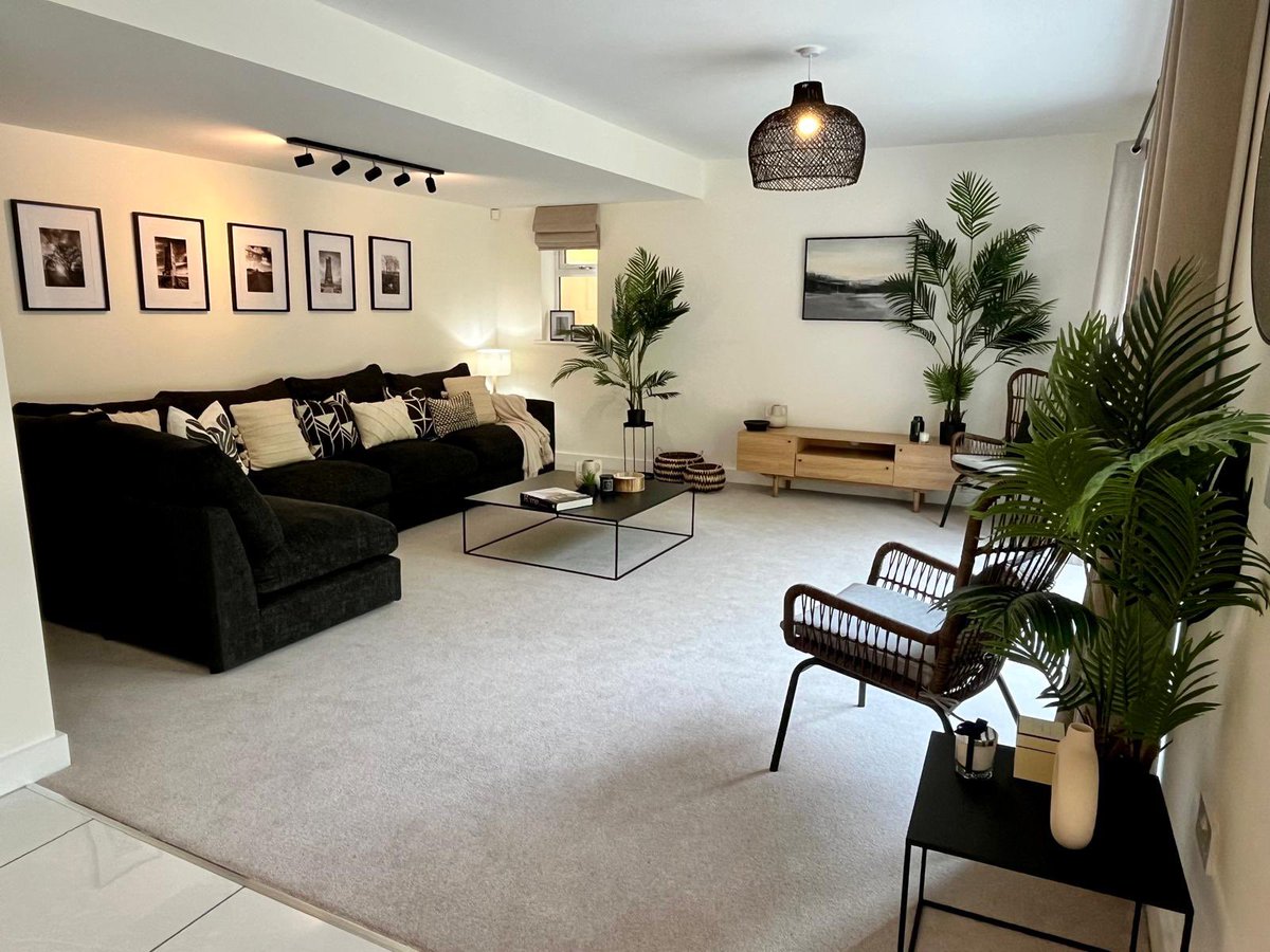 Conroy Brook tweet media