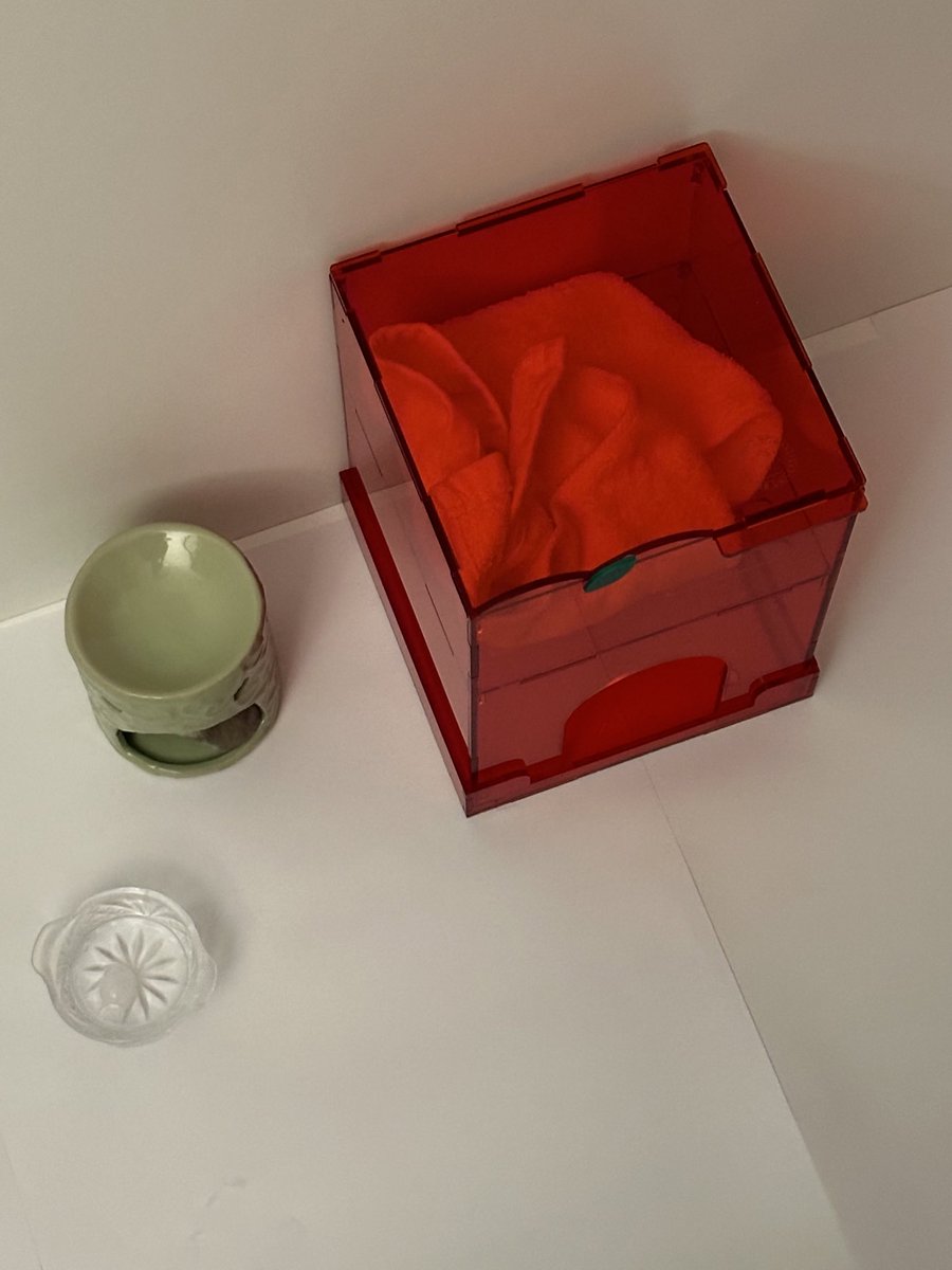 만두🐹🥟와 인간 tweet media