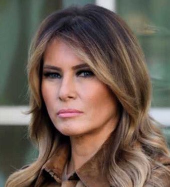 mikecleere's tweet photo. @RonFilipkowski What did she do, just glue her picture on the cover 
of Michelle Obama‘s biography https://t.co/ivmgFN9TUI