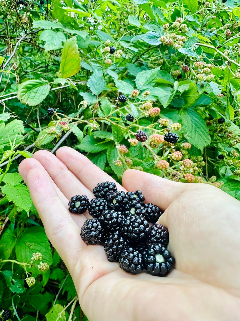 Smugglers' Notch tweet media