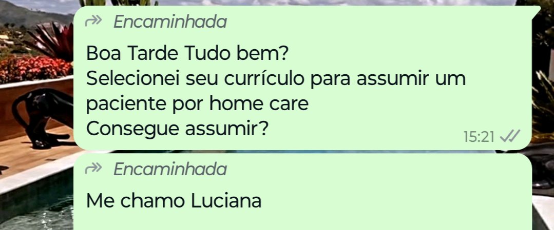 Lala_olvr's tweet photo. Já vou na brutalidade: Quanto?
1xdia 45,00

Ahhhhh, me respeita vagabunda. Vai você atender. https://t.co/Krg0jvu87S