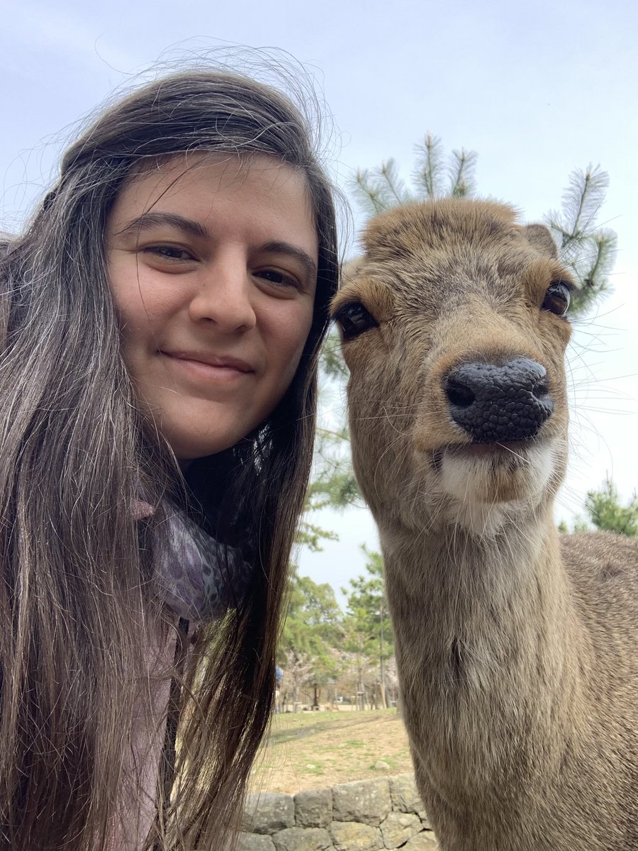 elly_lakes's tweet photo. Some of my clients chose to visit Japan in August โ๏ธ It will be very hot, but I gave them my best advice to enjoy their trip to the fullest! If you are also dreaming of going to Japan, I will be happy to assist you ๐ค
#ellylakes #InsideJapan #travelassistant https://t.co/3kwLweeUB4