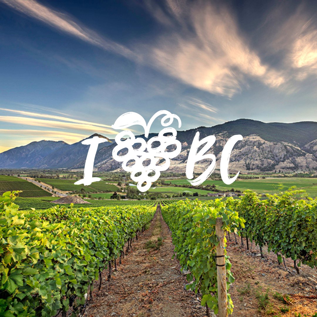 We ❤️ #BCWine - Tag your favourite wineries below! 

#vanessavineyard #VVwines #BCwine #BCharvest #meritage #syrah #merlot #explorebcnow
#bcwinecountry #bcwinery  #awardwinningwine 
@WinesofBC #FallforBCWine
