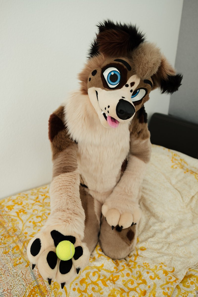 no take, only throw

🧵 <a href="/AlphaDogsStudio/">Alpha Dogs</a> 
📷 <a href="/knallstock/">Knalli Knallstock 🔜 EAST | TFI</a> <a href="/BlixFluff/">Blix 🎾</a> 

#fursuit #furry #FursuitEverday