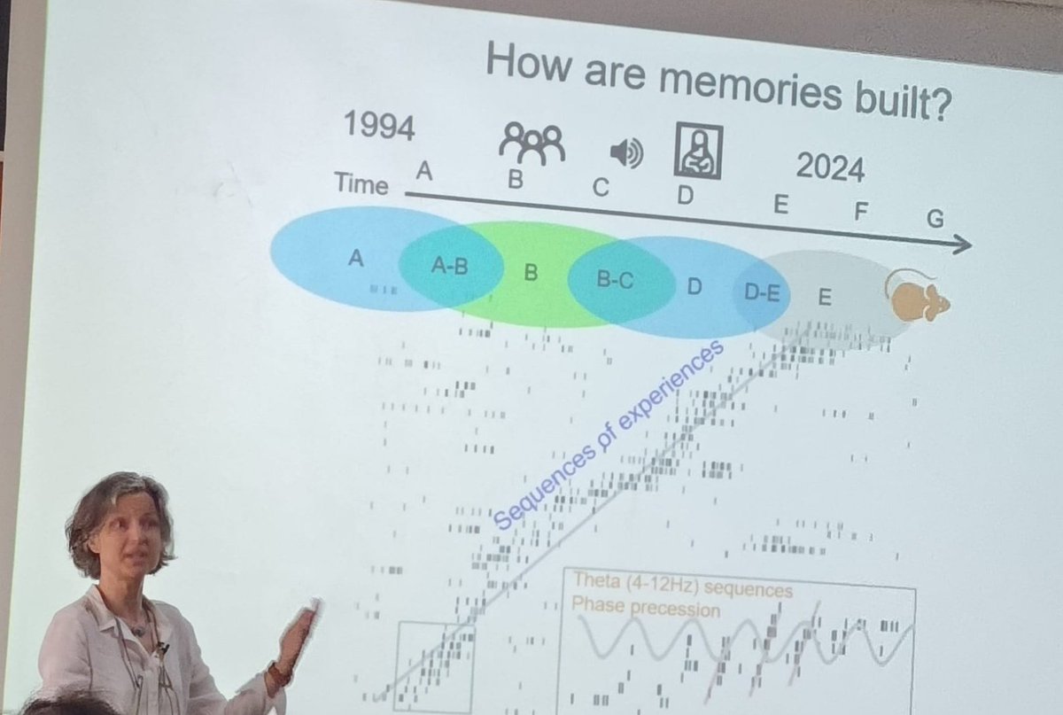 CIPF (@cipfciencia) on Twitter photo Celebrating 25th anniversary of <a href="/NeuroAlc/">Instituto de Neurociencias UMH-CSIC</a> a Severo Ochoa Center and one of best research centers in EU. Excellent scientific talks from former students and investigators. Congratulations to Angel Barco and colleagues for a great event! Celebrating 25th anniversary of <a href="/NeuroAlc/">Instituto de Neurociencias UMH-CSIC</a> a Severo Ochoa Center and one of best research centers in EU. Excellent scientific talks from former students and investigators. Congratulations to Angel Barco and colleagues for a great event!