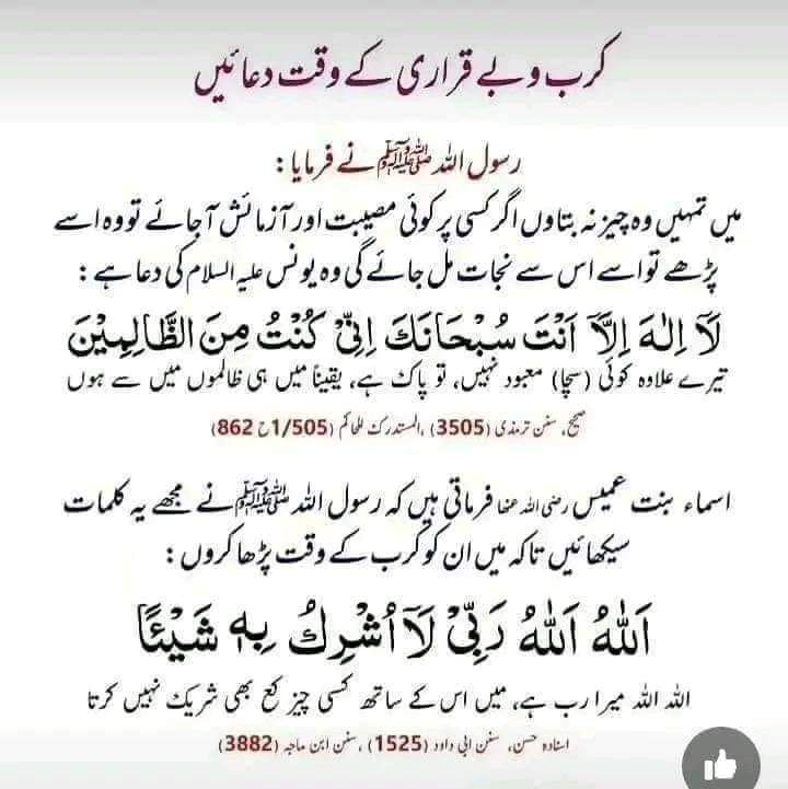 sadia ch tweet media