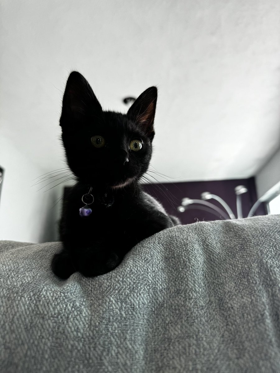 Marianalg019's tweet image. Miren a mi sobrino nuevo🥹🥹🥹 @florenciazepram