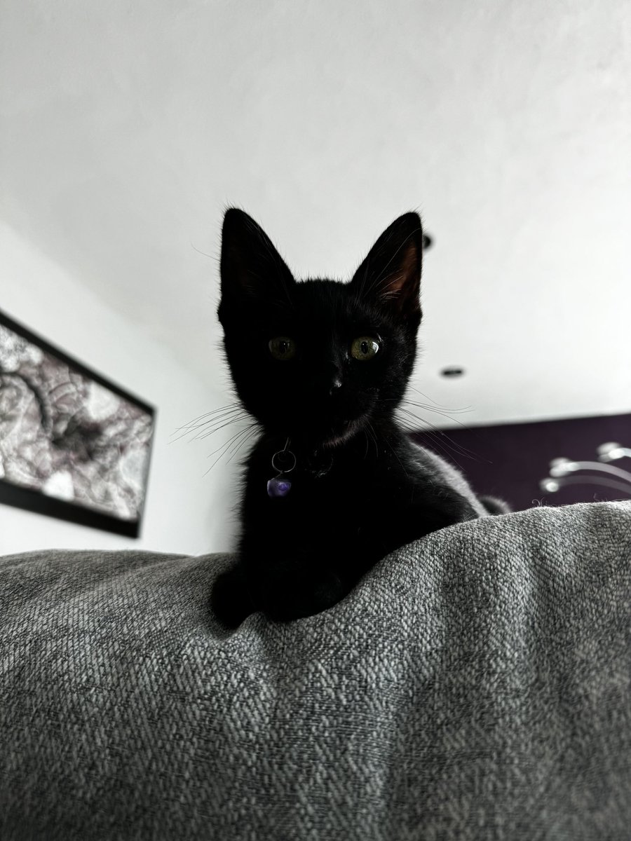 Marianalg019's tweet image. Miren a mi sobrino nuevo🥹🥹🥹 @florenciazepram