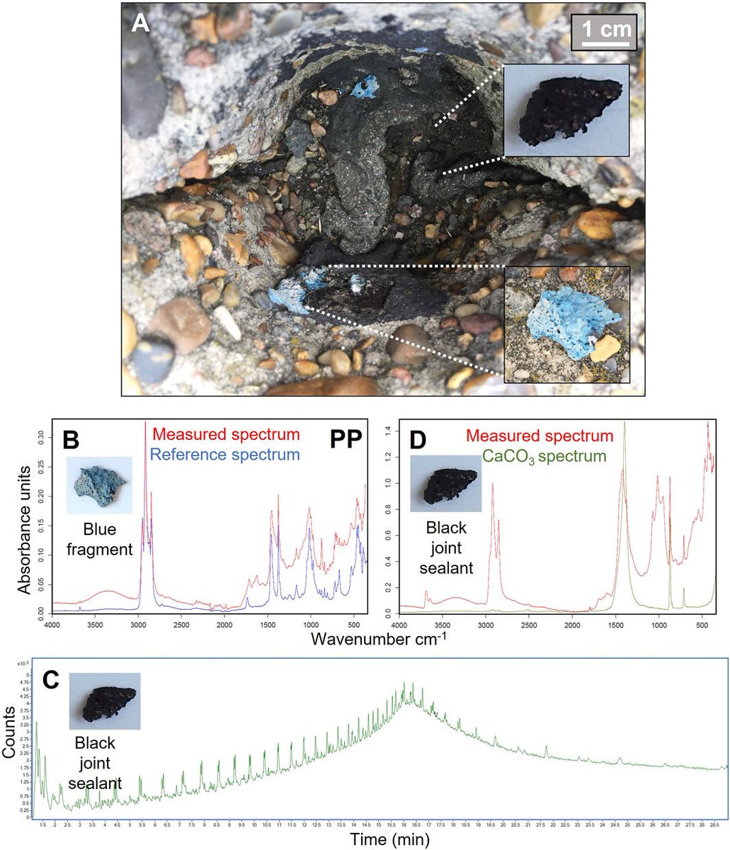 New Research: Bitumen-based plastitar: a novel plastic form variant in terrestrial environments frontiersin.org/articles/10.33… #FrontiersIn #EnvironmentalScience