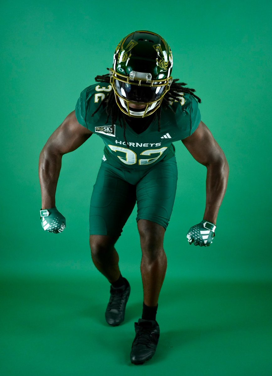 Year 3🐝