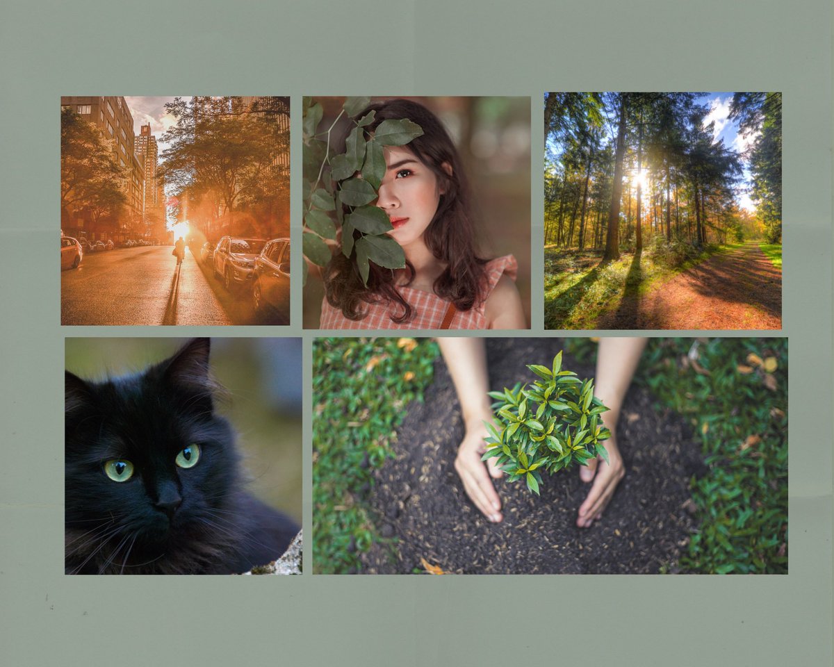 FernGully x Hello From Renn Lake
A budding friendship between Zarah and a dryad is in peril from a threat to their favorite forest. Now the fate of the trees and their friendship rests in their hands #MG #CF #SmallPitch