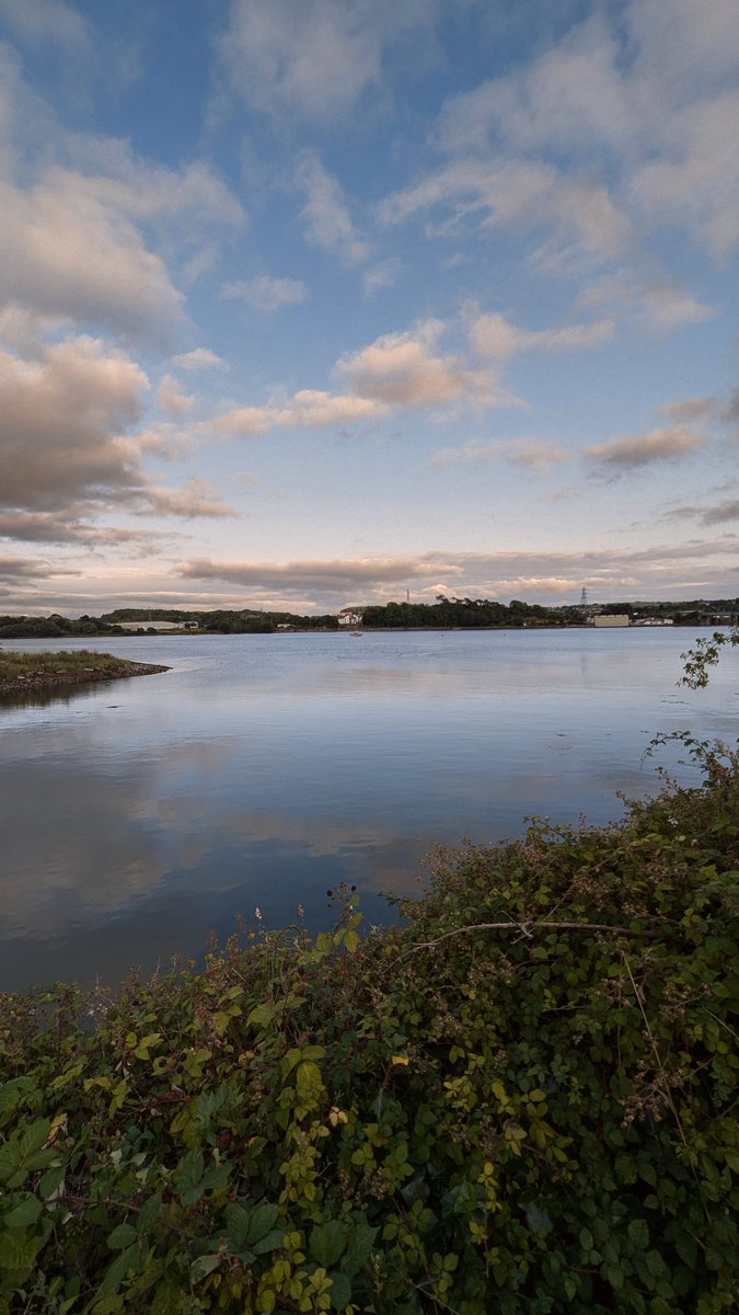 KC_Runz's tweet photo. Nature is really quite beautiful ๐ณ๐
#NationalTrust #Saltram #Plymouth https://t.co/5QStqTqiM1