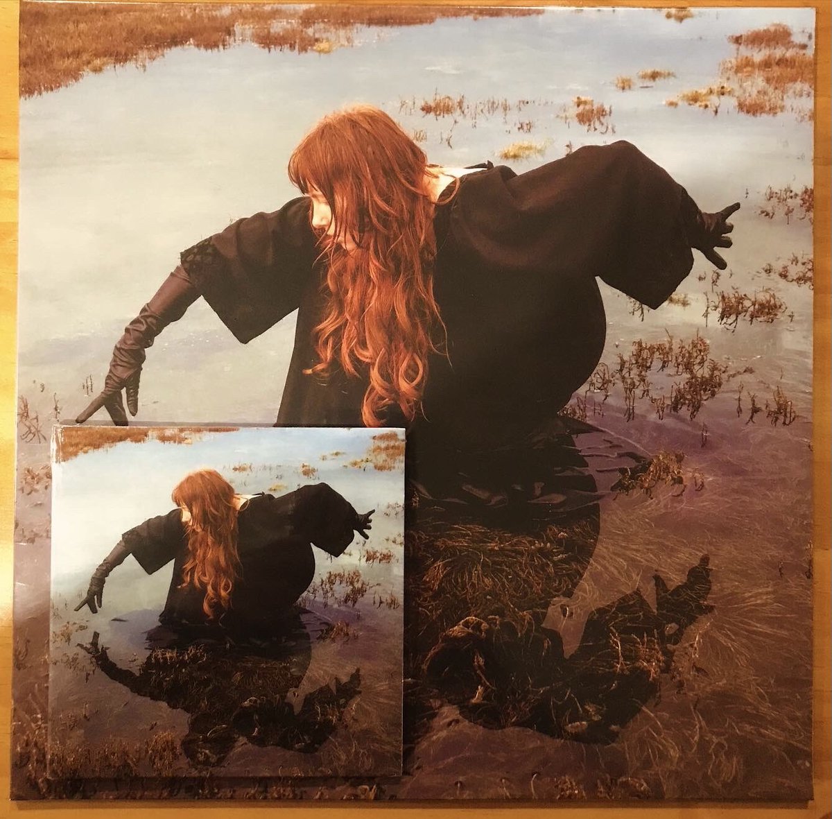 fishrider records tweet media