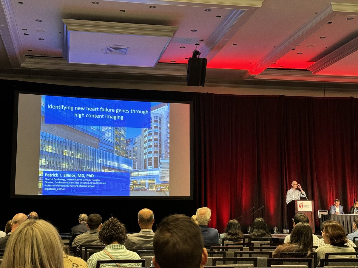 Haobo LI, Ph.D. (@lihaobo) on Twitter photo Cool stuff from <a href="/patrick_ellinor/">Patrick Ellinor</a> <a href="/MGHHeartHealth/">Mass General Heart</a> on fancy high contact imaging screening on GWAS/HF/DCM <a href="/AHA_Research/">AHA Research</a> <a href="/AHAMeetings/">AHAMeetings</a> #BCVS24 Cool stuff from <a href="/patrick_ellinor/">Patrick Ellinor</a> <a href="/MGHHeartHealth/">Mass General Heart</a> on fancy high contact imaging screening on GWAS/HF/DCM <a href="/AHA_Research/">AHA Research</a> <a href="/AHAMeetings/">AHAMeetings</a> #BCVS24