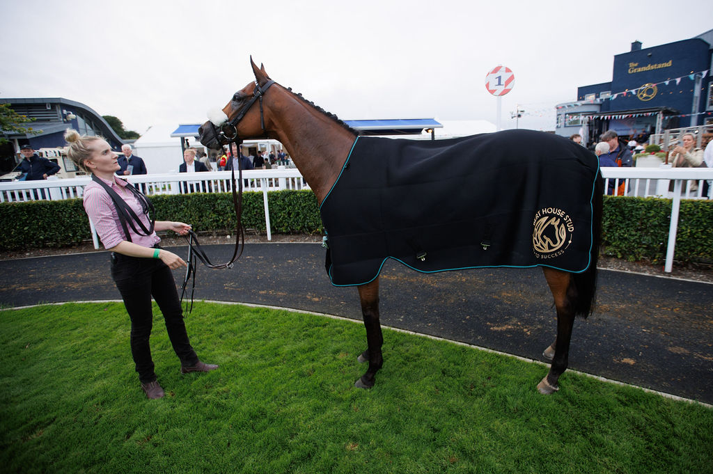 BertHouseStud (@berthousestud) on Twitter photo Congratulations to all connections of Facethepuckout, the winner of the Bert House Stud Handicap @naasracecourse !🎉🎊
The <a href="/MDOCallaghan/">Michael O’Callaghan</a> trained son of Excelebration cruised home under Colin Keane <a href="/ctkjockey/">Colin Keane</a> to take the win over 7 furlongs!✨ Congratulations to all connections of Facethepuckout, the winner of the Bert House Stud Handicap @naasracecourse !🎉🎊
The <a href="/MDOCallaghan/">Michael O’Callaghan</a> trained son of Excelebration cruised home under Colin Keane <a href="/ctkjockey/">Colin Keane</a> to take the win over 7 furlongs!✨