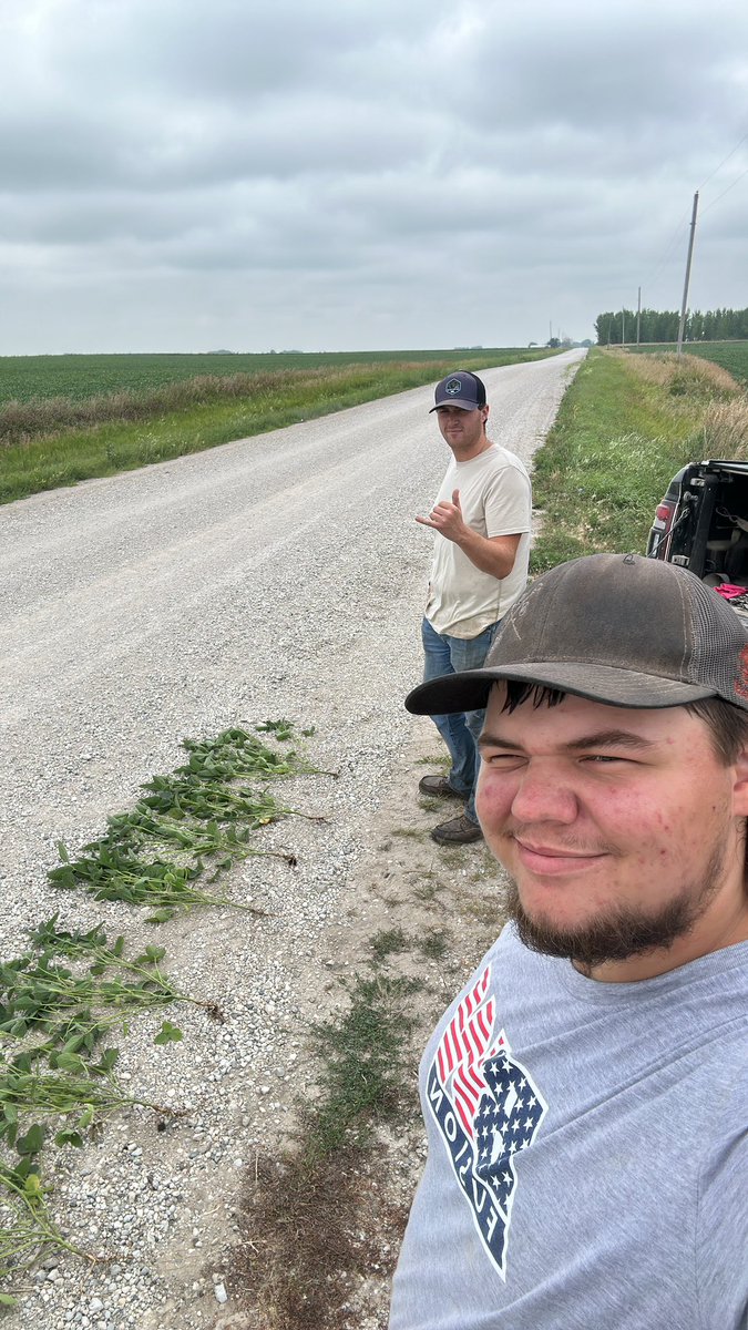 Learning about BioCastMax and the higher quality branching compared to the untreated check🌱🪱. With THE <a href="/MasonClaude5/">Mason Claude</a>. <a href="/bw_fusion/">BW Fusion</a>