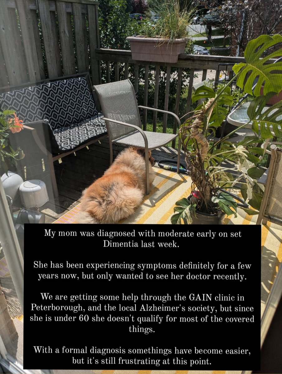 This year has been rough