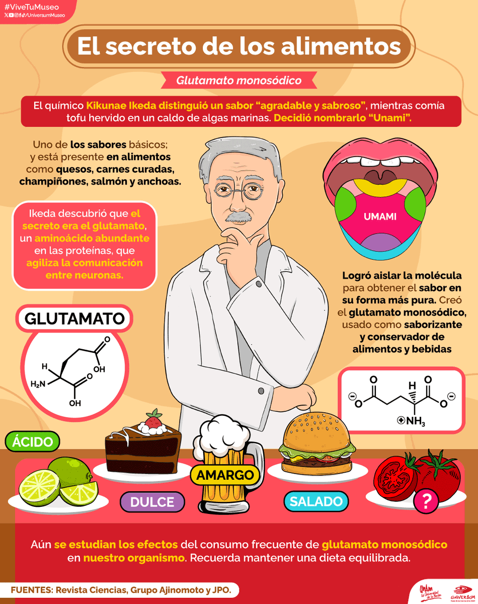 UniversumMuseo's tweet photo. Descubre el secreto de muchos de los alimentos que consumimos. 😯👇

¿Conocías este ingrediente? 🤔😛

#ViveTuMuseo https://t.co/Fdxp7ONRqv