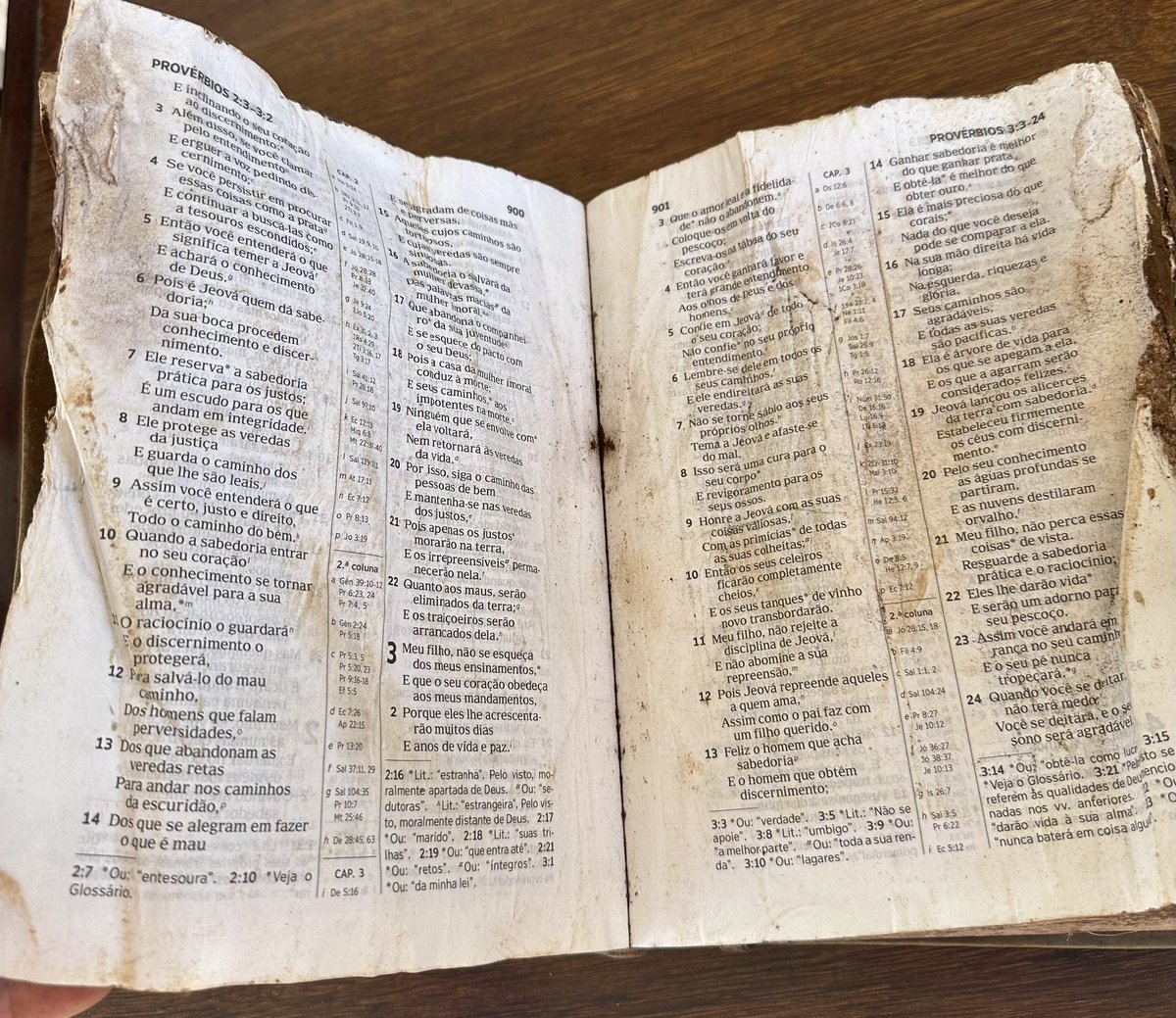 Eu carrego comigo essa Bíblia que encontrei na lama tóxica da Vale, em Brumadinho. Quando a abri, toda suja, li: “protege as veredas da justiça”. O neoliberalismo, com suas poderosas multinacionais, transgride a Palavra Sagrada. Querer ocupar o lugar de Deus é o seu maior pecado.