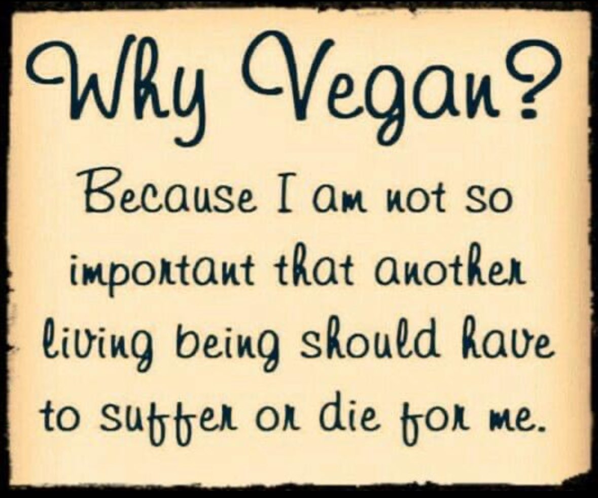 MLeeNYCx's tweet photo. So hard to believe anyone with any heart/soul/compassion would choose to support #AnimalAg #AnimalHolocaust‼️

The Truth of this heinous industry has been so fully revealed, how much more does anyone need to see before doing the right thing⁉️
#BeVegan #ChooseCompassion #Vegan 🌱💚

https://t.co/MxUQWwxx1l