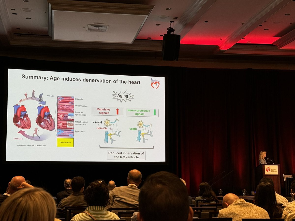 Haobo LI, Ph.D. (@lihaobo) on Twitter photo Always learn a lot from <a href="/StefanieDimmel1/">Stefanie Dimmeler</a> <a href="/dzhk_germany/">DZHK Germany</a> on neural-vascular interface in aging. Thanks for citing my favorite image 🤓<a href="/AHA_Research/">AHA Research</a> <a href="/AHAMeetings/">AHAMeetings</a> <a href="/CircRes/">Circulation Research</a> #BCVS24 Always learn a lot from <a href="/StefanieDimmel1/">Stefanie Dimmeler</a> <a href="/dzhk_germany/">DZHK Germany</a> on neural-vascular interface in aging. Thanks for citing my favorite image 🤓<a href="/AHA_Research/">AHA Research</a> <a href="/AHAMeetings/">AHAMeetings</a> <a href="/CircRes/">Circulation Research</a> #BCVS24