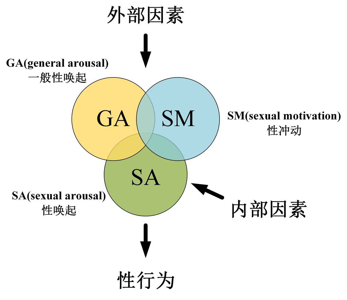 2.2 长期禁欲状态
