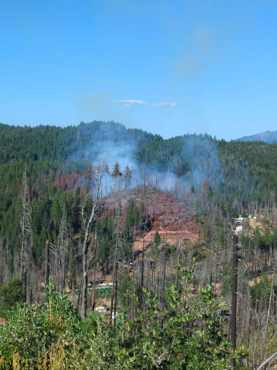 ShastaTrinityNF's tweet photo. The Pipeline Fire was mapped at 6.04 acres. Overnight crews were able to complete a hose lay around the fire. The fire stayed within the containment lines overnight and is 30% contained.
#PipelineFire #PostMountain #SouthForkManagementUnit https://t.co/ch4o5pqFzX