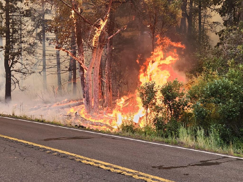 wsdot's tweet photo. Ongoing fires are affecting roads across the state. To recap:

- SR 20 closed btwn MP 148-157
- US 12 closed btwn MP 151-183
- SR 14 closed btwn MP 133-149
- SR 21 closed btwn MP 106-123
- Keller Ferry limited operation to assist with evacs

Follow @wsdot_east for updates https://t.co/HBZ0kjNMDO
