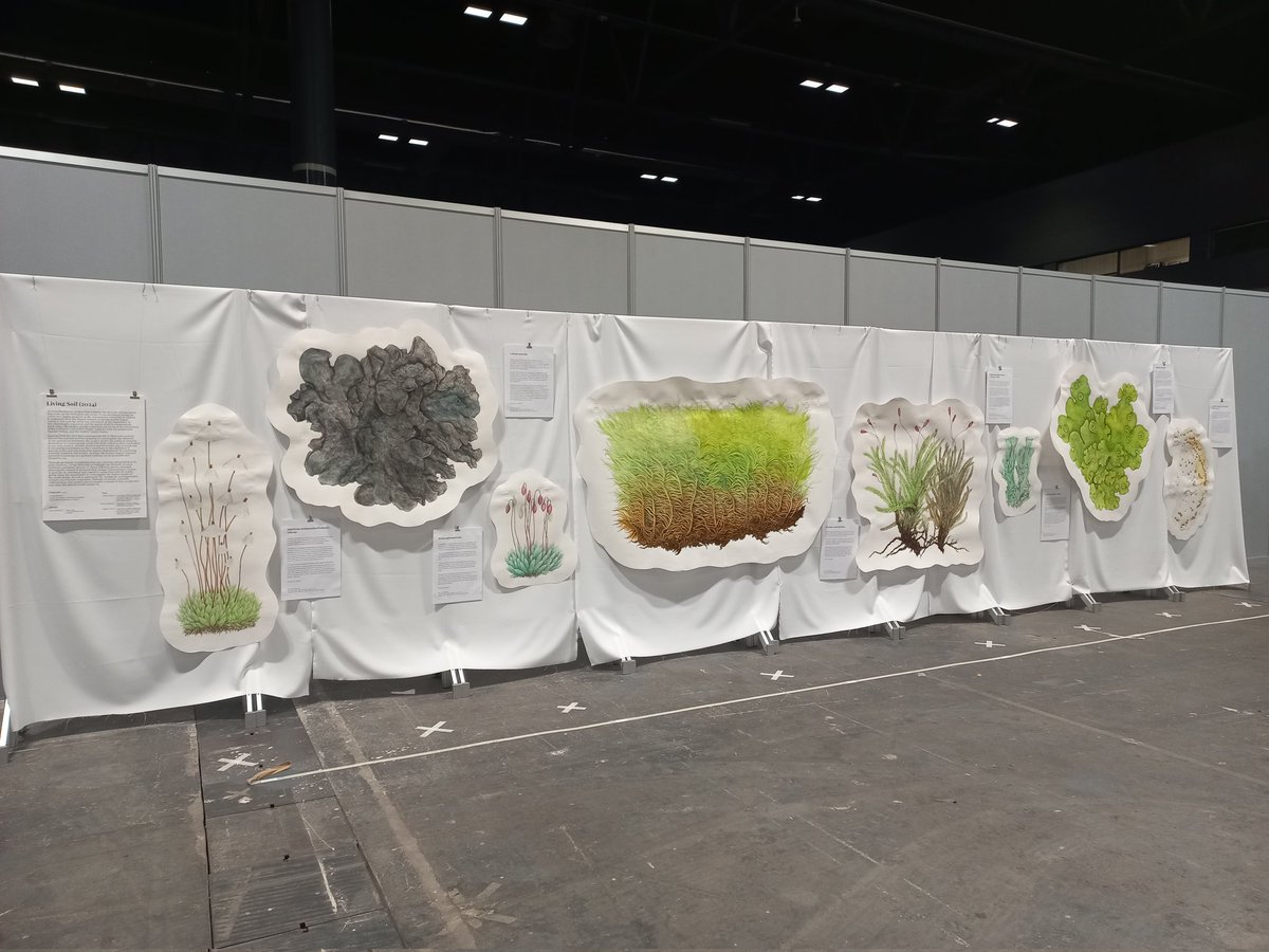 i_draper's tweet photo. Remember to stop by the living soil exposition besides the poster area: fantastic enlarged images that show a little of the cryptogamic diversity at the #IBC2024 @PielSuelo @gmedina_n https://t.co/QOn5uEKp53