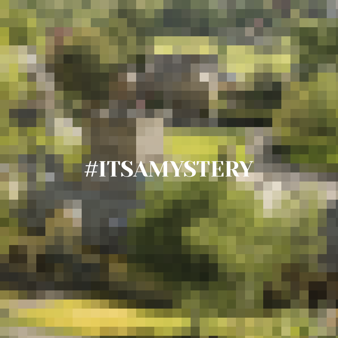 ridinglights's tweet photo. #ITSAMYSTERY https://t.co/fE7ZTh6APQ
