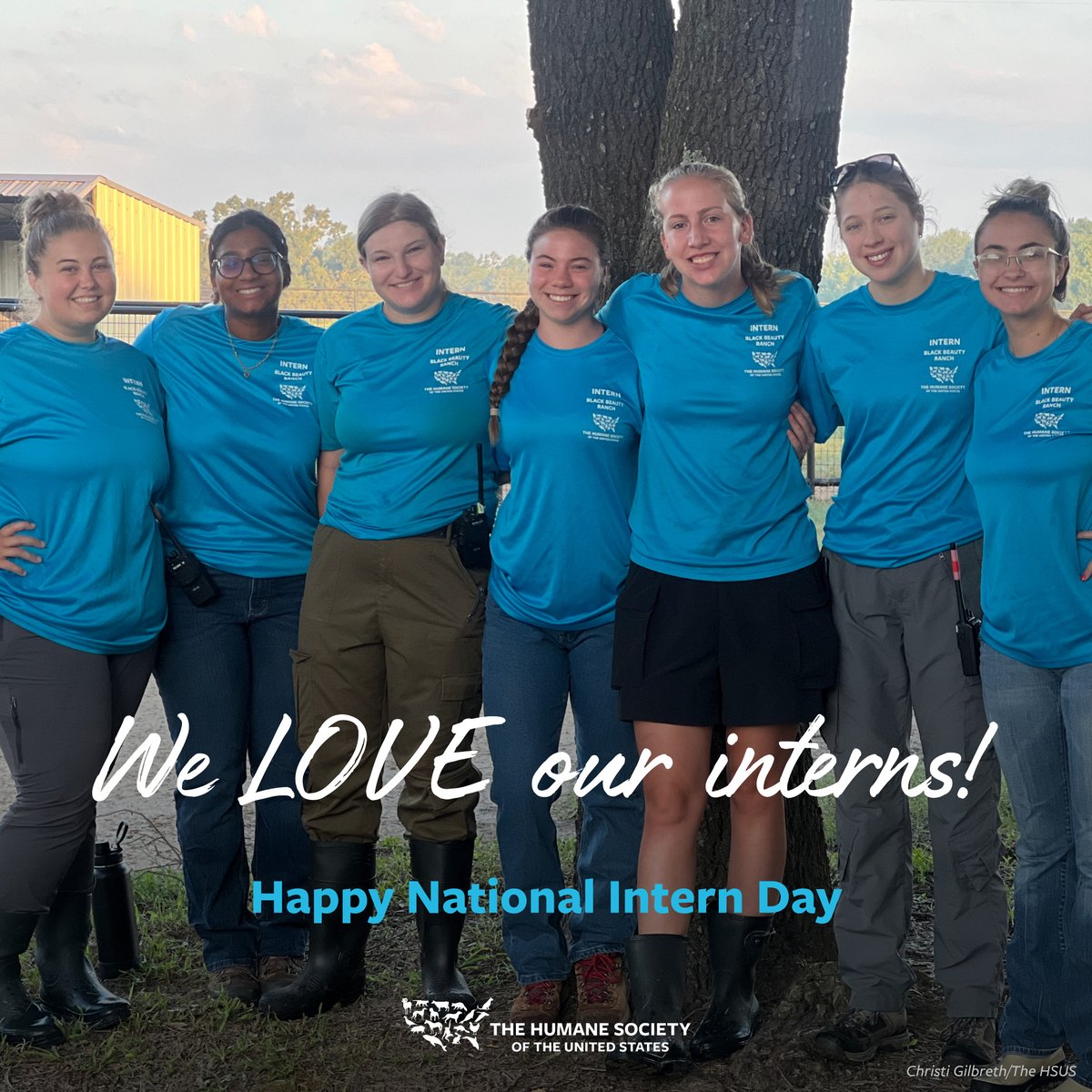 Humane World for Animals tweet media