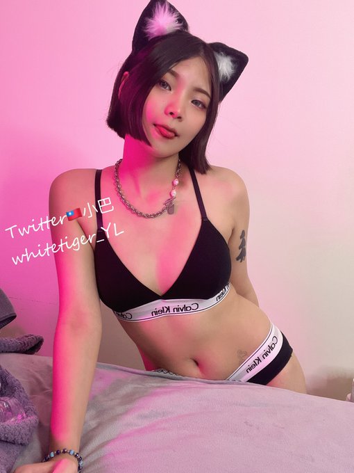 whitetiger_YL