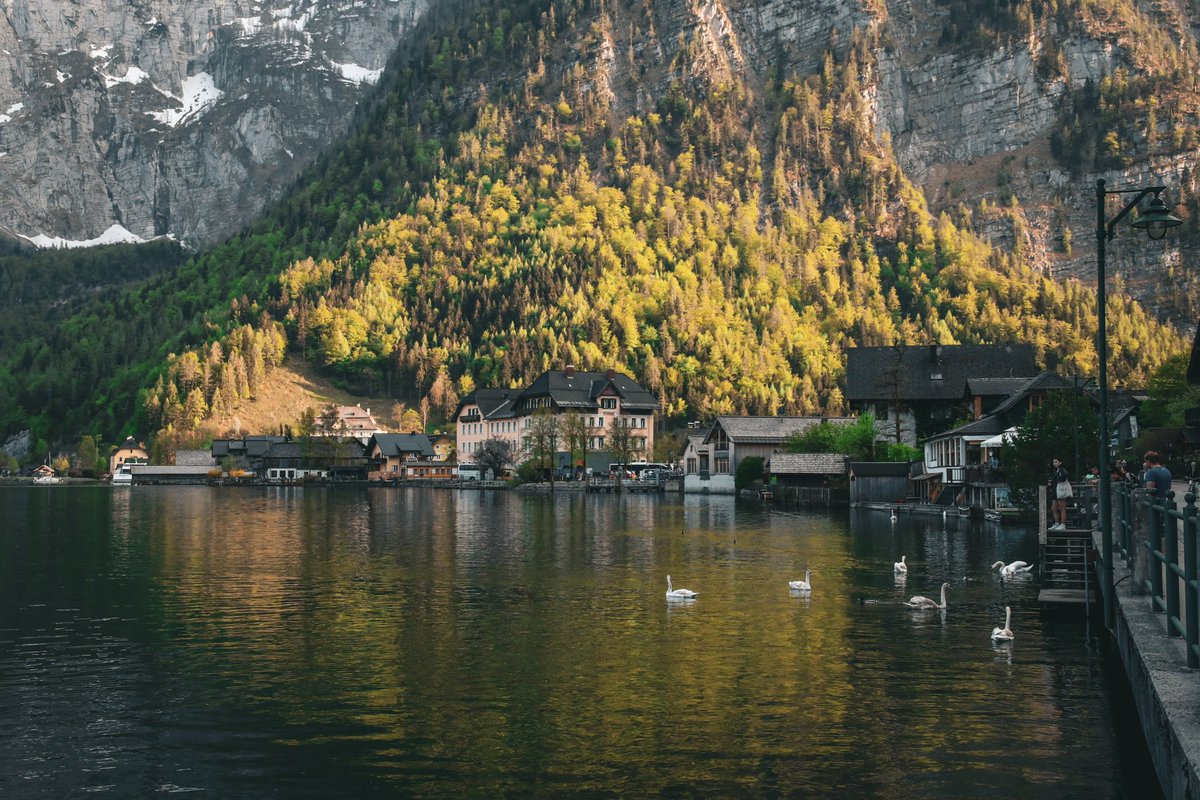 Kâni Toprak tweet media