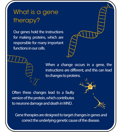 mndresearch's tweet photo. Is the answer to treating #MND #ALS in our genes? 🧬

@mndassoc are funding several researchers who are developing gene therapies, which target changes in genes and aim to correct the underlying genetic cause of the disease.

Read more⬇️

https://t.co/FcfZt9oBAl https://t.co/gEUdgQ3SJ2