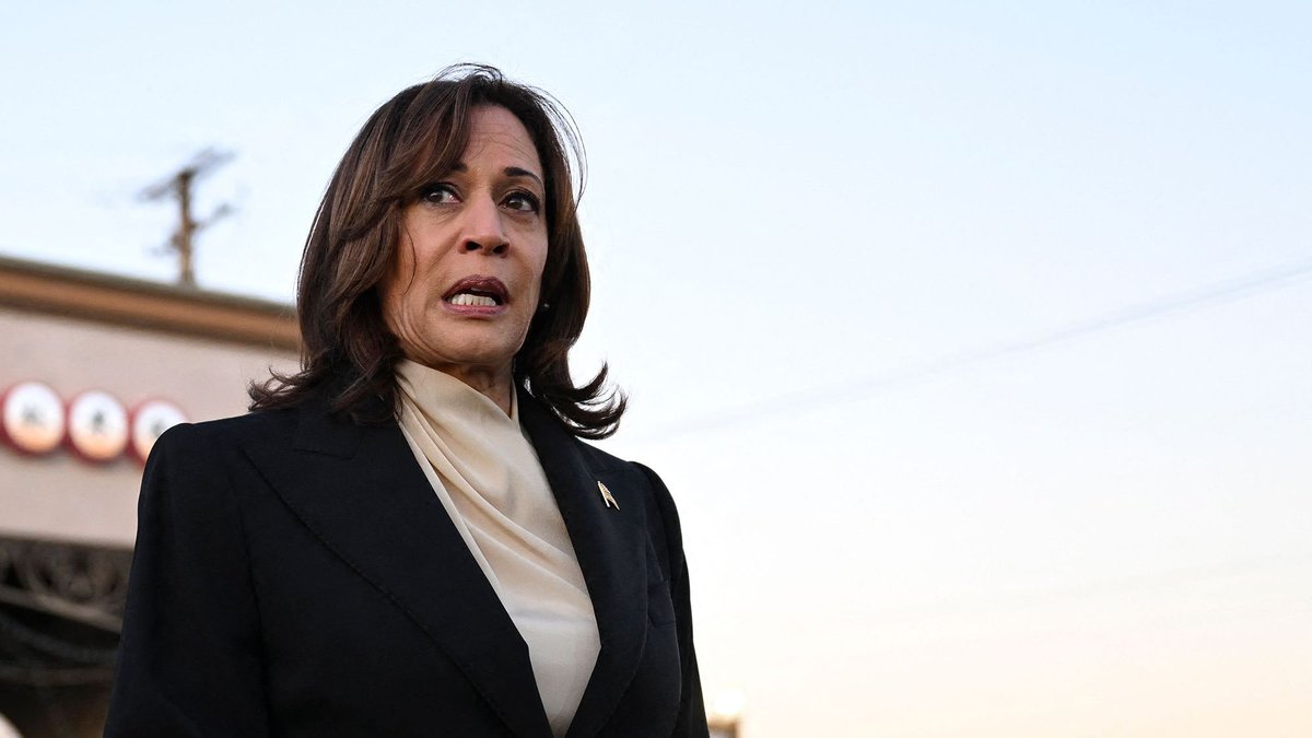 NEW 

Statement from Vice-President Harris: 

“Yesterday, at Union Station in Washington, D.C. we saw despicable acts by unpatriotic protestors and dangerous hate-fueled rhetoric.

I condemn any individuals associating with the brutal terrorist organization Hamas, which has vowed