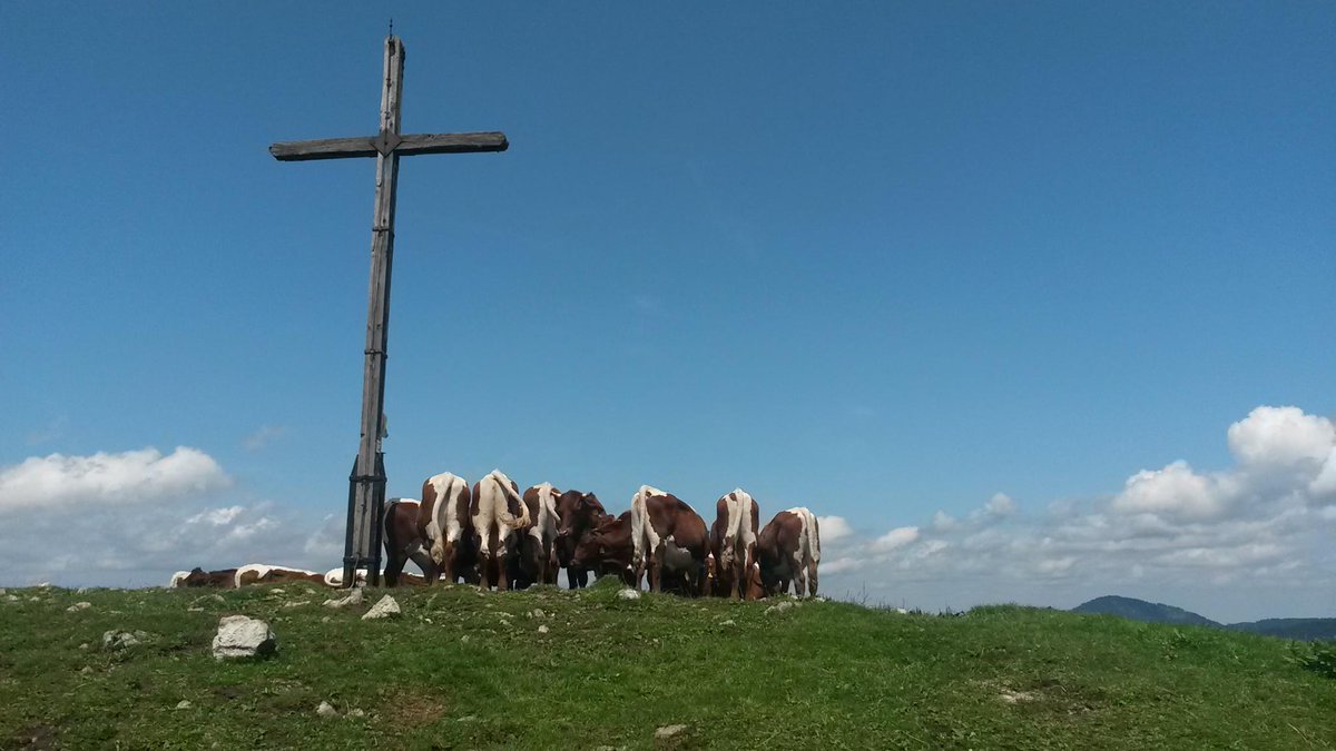 Willkommen liebe Bergwanderer auf der Hochalm 1427m, schattig und steil von Hohenwiesen 730Hm 4h20 6km
