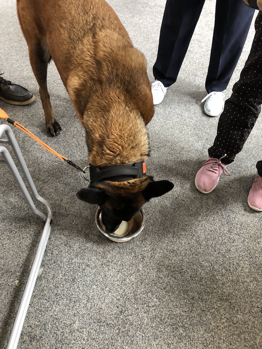 Chappers2013's tweet image. Busy day #spreadingsmiles
Spent the morning with the Maldon &amp;amp; Dengie Stroke Association where @PBaloo enjoyed finishing my tea 🥰

Then #riversidepark #burnhamoncrouch for an emergency services event with @EPMaldon @EPMarine @ECFRS @ChelmsCouncil 

Great engagement 
@OscarKiloUK